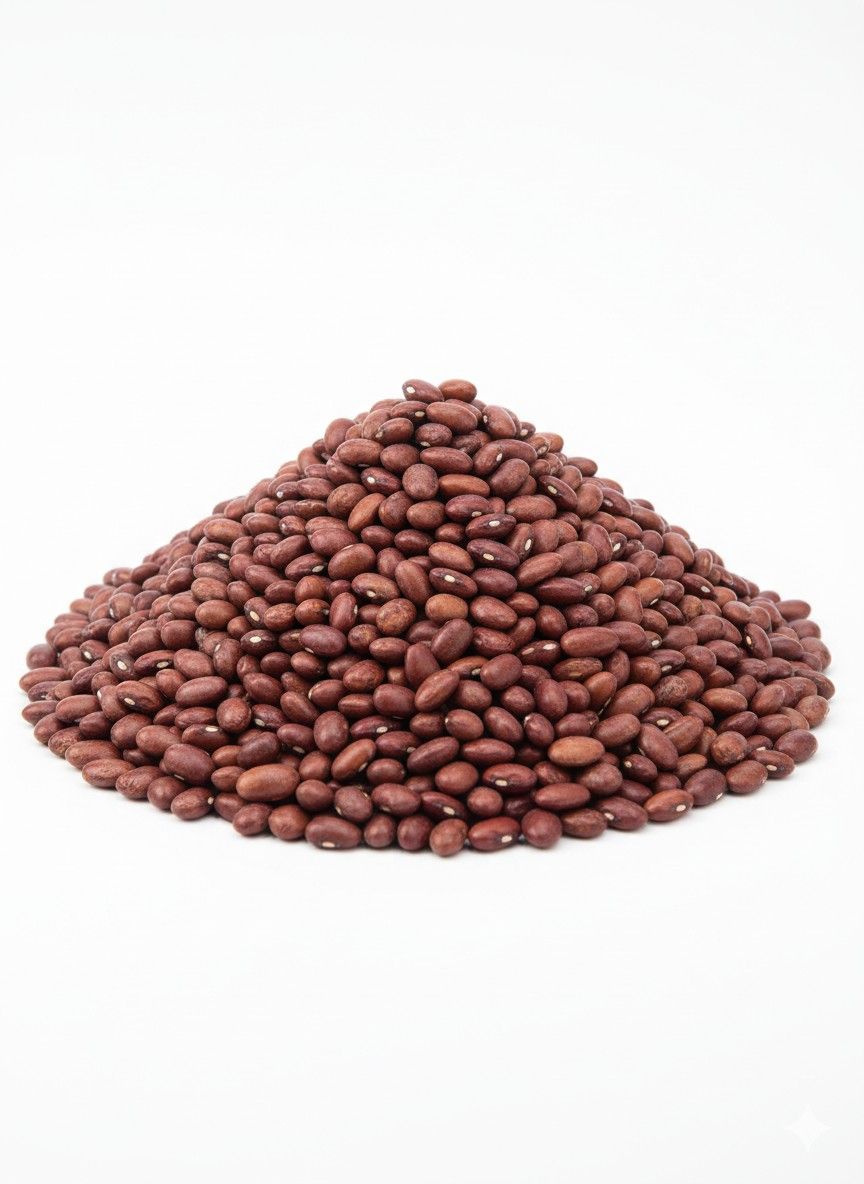RAJMA 
